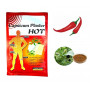 Обезболивающий перцовый пластырь Hot Capsicum Plaster Godsen (12х18 см)